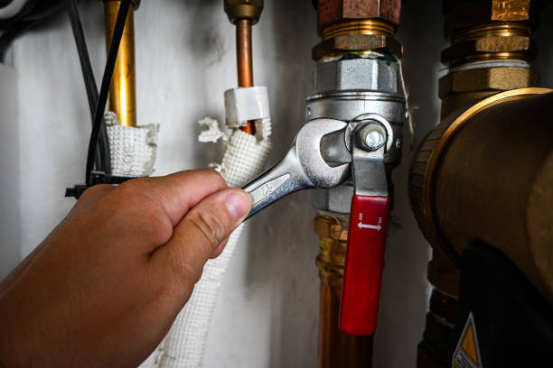 Best Local Plumber Services  in Kouts, IN